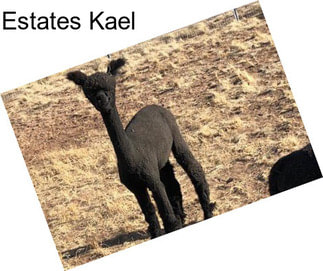 Estates Kael