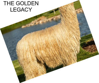THE GOLDEN LEGACY