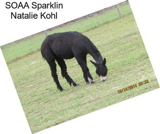 SOAA Sparklin Natalie Kohl