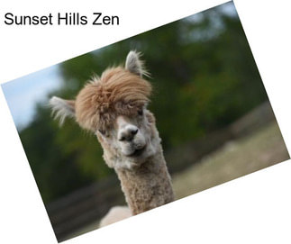 Sunset Hills Zen