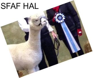 SFAF HAL