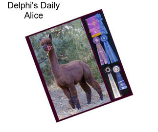 Delphi\'s Daily Alice