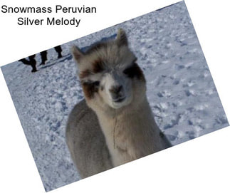 Snowmass Peruvian Silver Melody