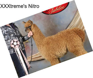 XXXtreme\'s Nitro