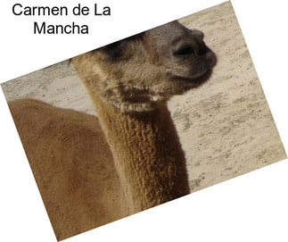 Carmen de La Mancha