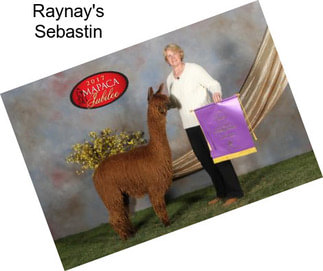 Raynay\'s Sebastin