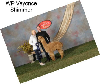 WP Veyonce Shimmer
