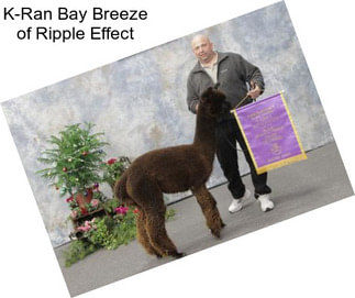 K-Ran Bay Breeze of Ripple Effect