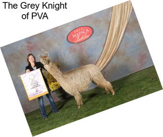 The Grey Knight of PVA