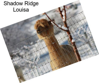 Shadow Ridge Louisa