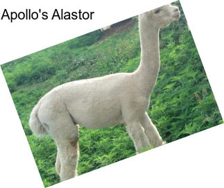 Apollo\'s Alastor