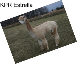 KPR Estrella