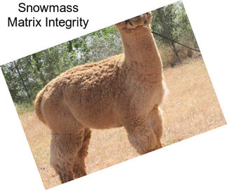 Snowmass Matrix Integrity