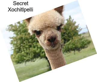 Secret Xochitlpelli