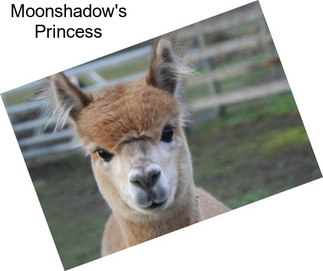 Moonshadow\'s Princess