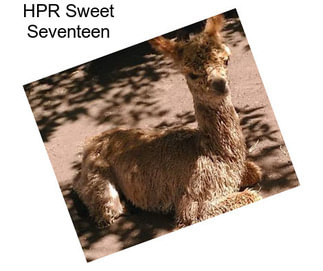 HPR Sweet Seventeen