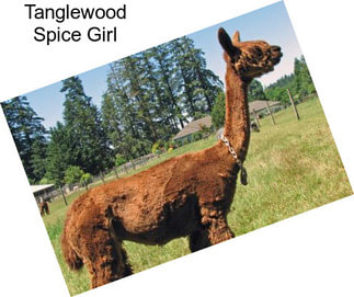 Tanglewood Spice Girl