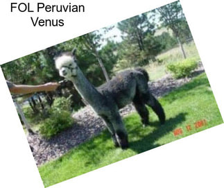 FOL Peruvian Venus