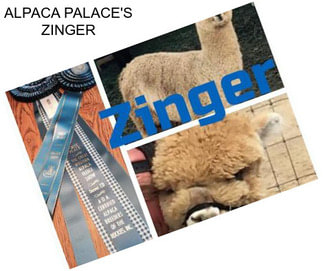 ALPACA PALACE\'S ZINGER