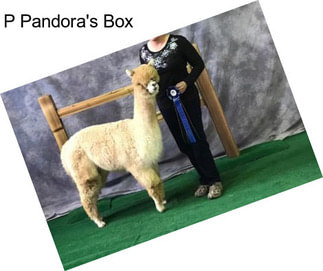 P Pandora\'s Box