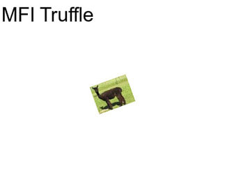 MFI Truffle
