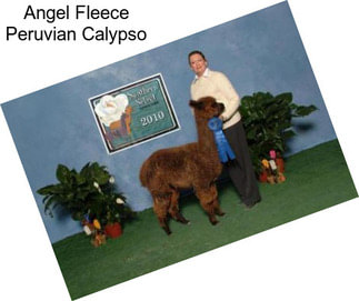 Angel Fleece Peruvian Calypso