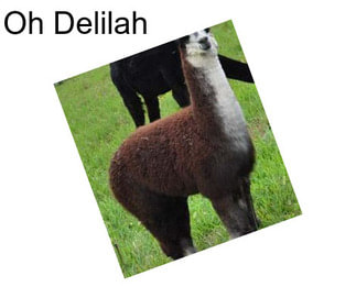 Oh Delilah