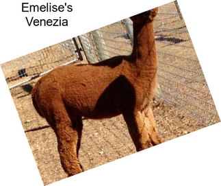 Emelise\'s Venezia