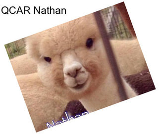 QCAR Nathan