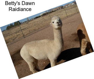 Betty\'s Dawn Raidiance