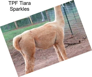 TPF Tiara Sparkles