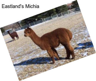 Eastland\'s Michia
