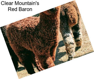 Clear Mountain\'s Red Baron