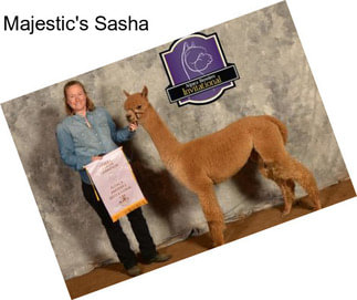 Majestic\'s Sasha