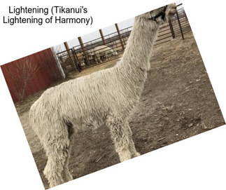 Lightening (Tikanui\'s Lightening of Harmony)