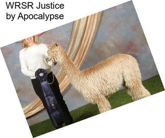 WRSR Justice by Apocalypse