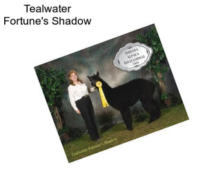 Tealwater Fortune\'s Shadow