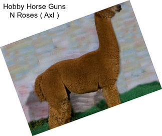 Hobby Horse Guns N Roses ( \