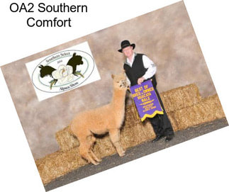 OA2 Southern Comfort