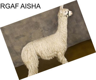 RGAF AISHA