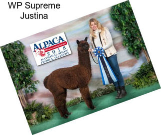 WP Supreme Justina