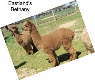 Eastland\'s Bethany