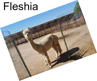 Fleshia