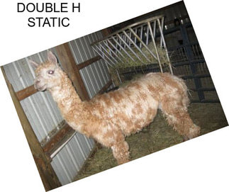 DOUBLE H STATIC