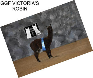 GGF VICTORIA\'S ROBIN