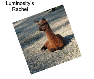 Luminosity\'s Rachel