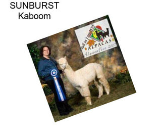 SUNBURST Kaboom