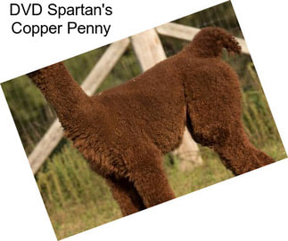 DVD Spartan\'s Copper Penny