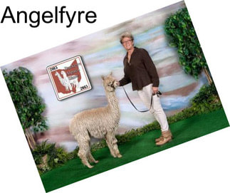 Angelfyre