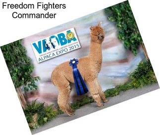 Freedom Fighters Commander